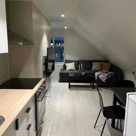 Ny Og Moderne 2-roms דירה בודו